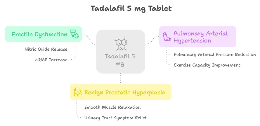 How does Tadalafil 5 mg Work