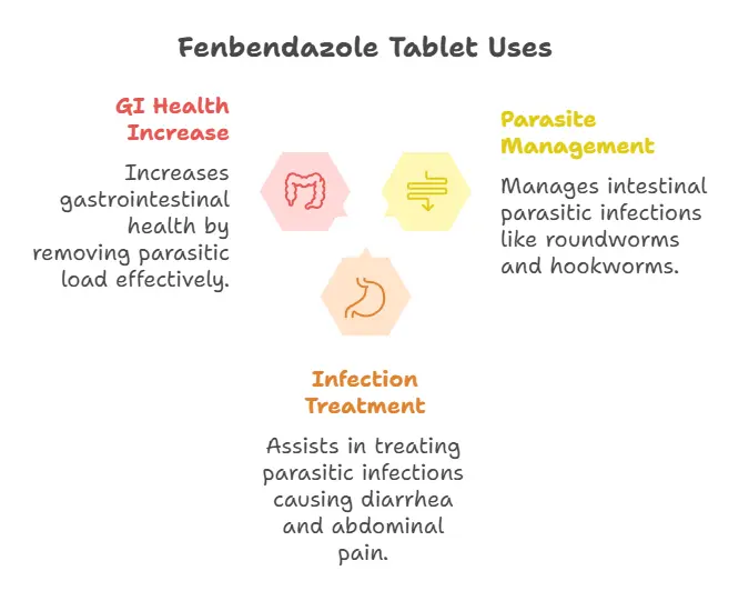 Uses of Fenbendazole 1000 mg Tablets