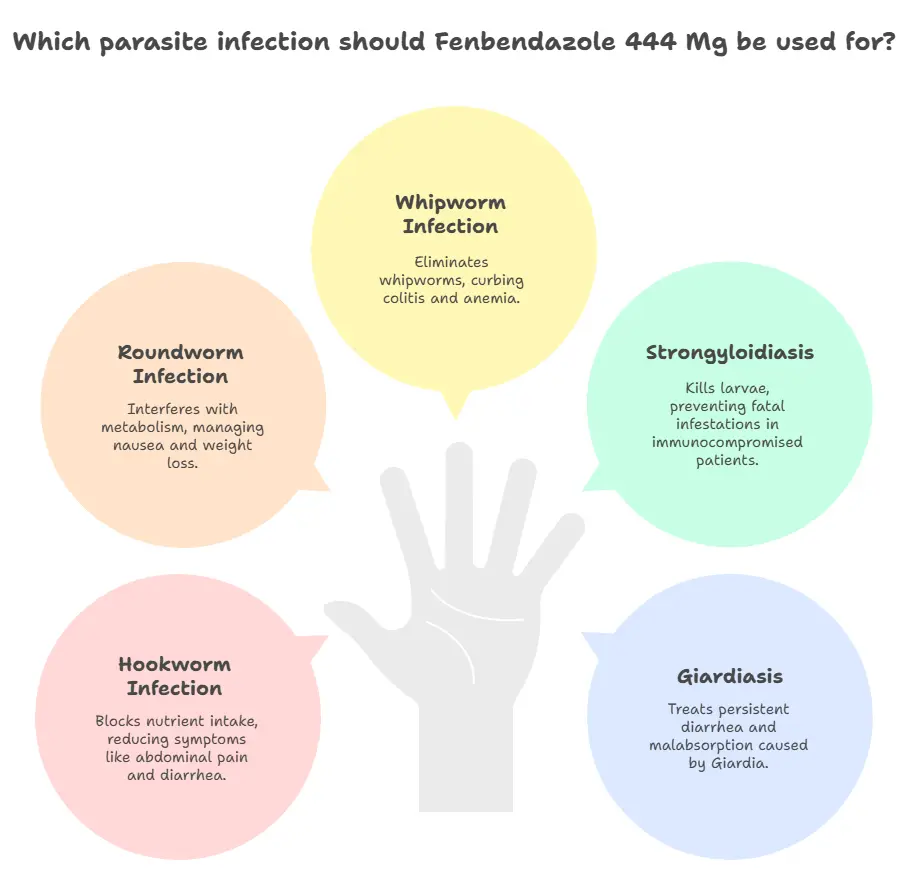 Uses of Fenbendazole 444 Mg 