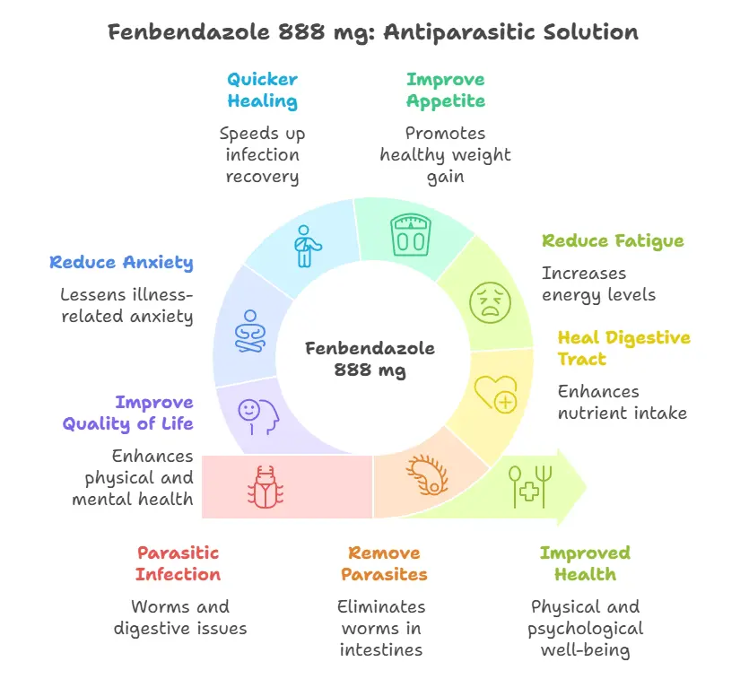 Benefits of Fenbendazole 888 mg 