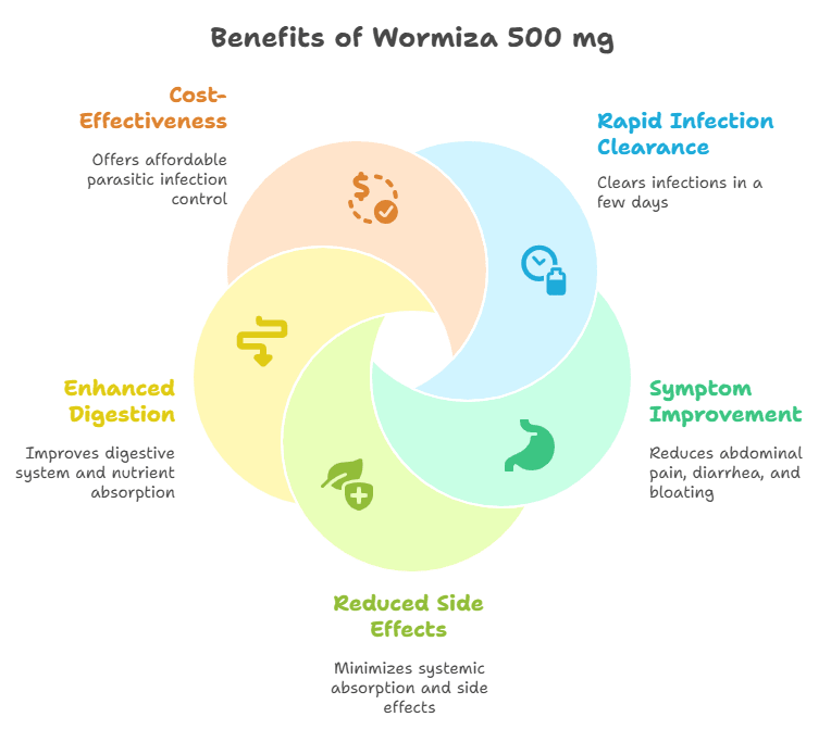 Benefits of Wormiza 500 mg Tablet