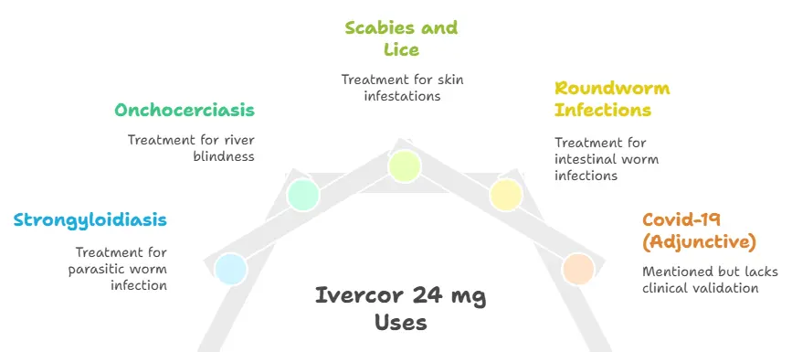 Uses of Ivercor 24 mg