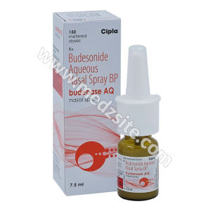 Budesonide Nasal Spray