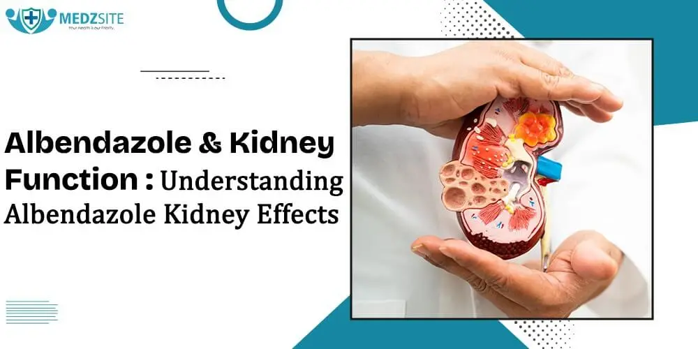 Albendazole and Kidney Function: Understanding Albendazole Kidney Effects - Medzsite