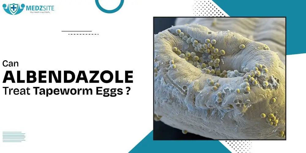 Can Albendazole Treat Tapeworm Eggs? A Comprehensive Guide