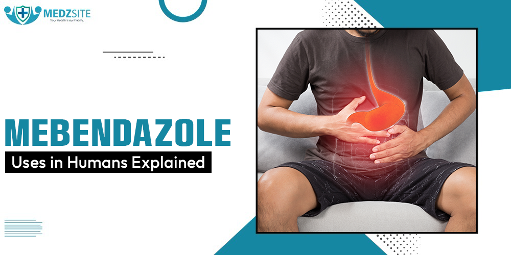 Mebendazole Uses in Humans Explained