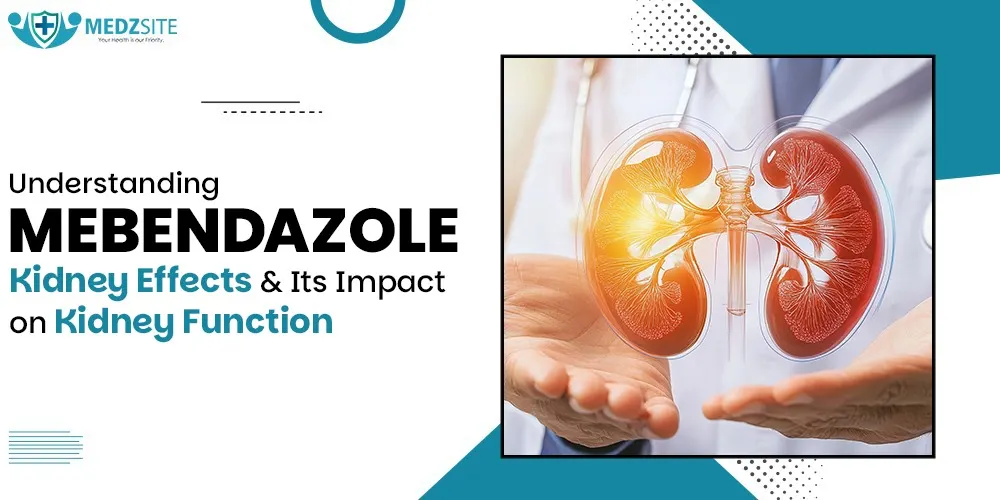 Understanding Mebendazole Kidney Effects and Its Impact on Kidney Function